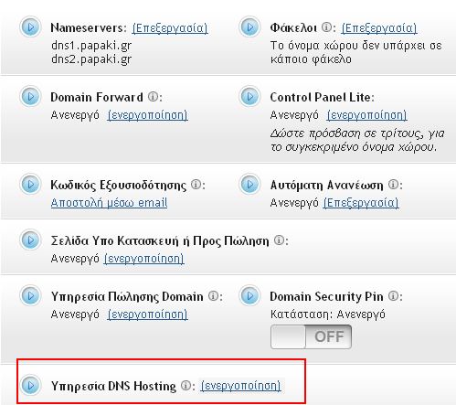 DNS Hosting μέσα στο control panel