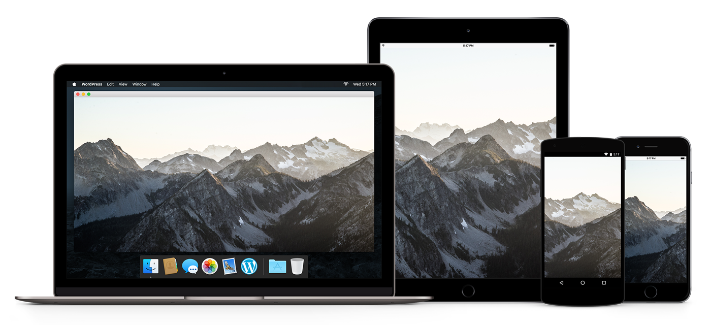 WordPress Responsive Images